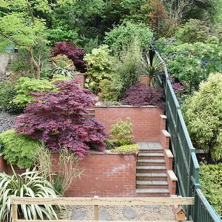 Jays View * 惠特比